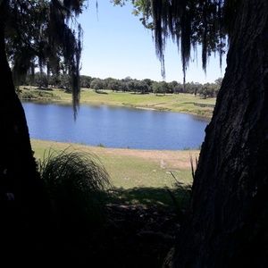 Meet your Posher, Dominic